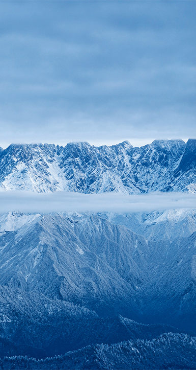 关于亚星会员平台